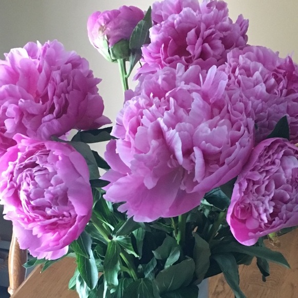 Meet the Posher - Picture 1 of 1